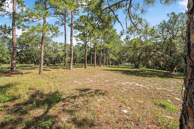 2620 Doyle Rd, Deltona, FL 32738 - photo 50