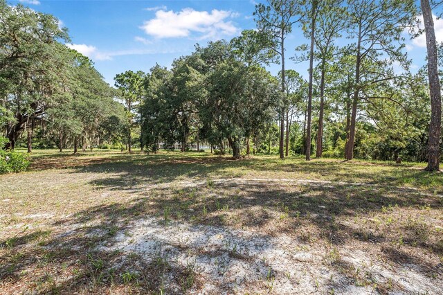 2620 Doyle Rd, Deltona, FL 32738 - photo 51