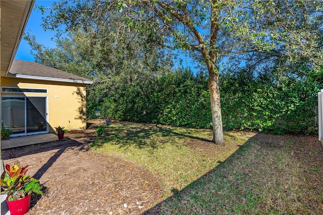 727 Grape Ivy Ln, New Smyrna Beach, FL 32168 - view of grassy yard