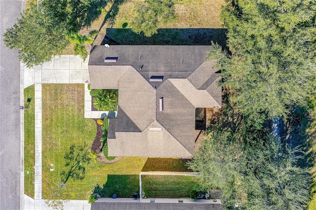 727 Grape Ivy Ln, New Smyrna Beach, FL 32168 - view from above of property