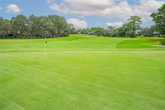 727 Grape Ivy Ln, New Smyrna Beach, FL 32168 - view of community with golf course view and view of scattered trees