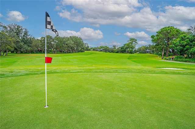 727 Grape Ivy Ln, New Smyrna Beach, FL 32168 - view of property's community featuring golf course view and view of wooded area