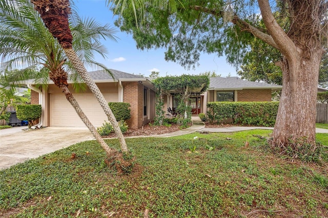 1261 Burning Tree Ln, Winter Park, FL 32792 - view of front of property with brick siding, a garage, concrete driveway, a front yard, and roof with shingles