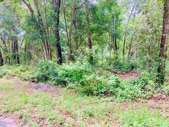 407 Raulerson Rd, Seville, FL 32190 - photo 1