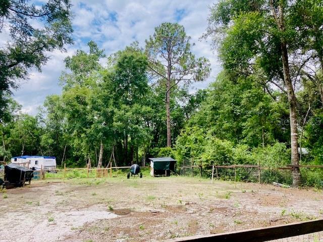 407 Raulerson Rd, Seville, FL 32190 - photo 2