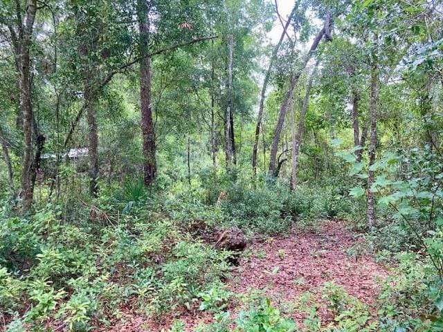 407 Raulerson Rd, Seville, FL 32190 - photo 3