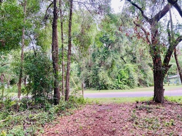 407 Raulerson Rd, Seville, FL 32190 - photo 4