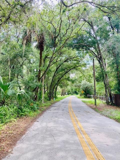407 Raulerson Rd, Seville, FL 32190 - photo 5