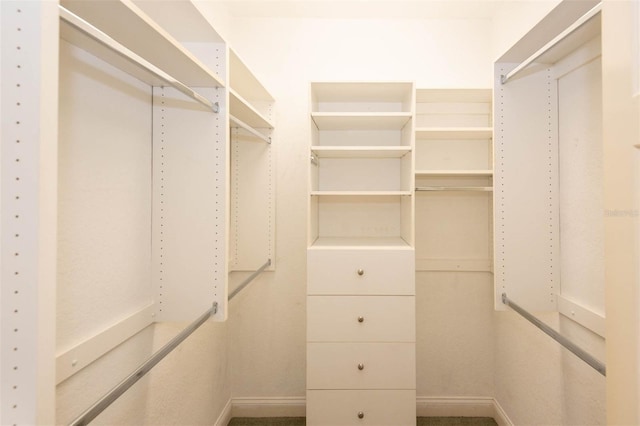 3428 Longleaf Rd, Ormond Beach, FL 32174 - view of walk in closet