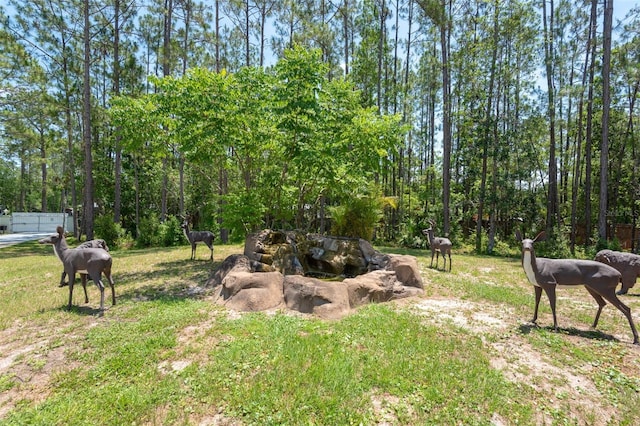 3428 Longleaf Rd, Ormond Beach, FL 32174 - view of yard