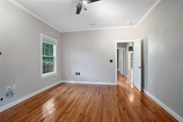 431 S Stone St, Deland, FL 32720 - photo 18