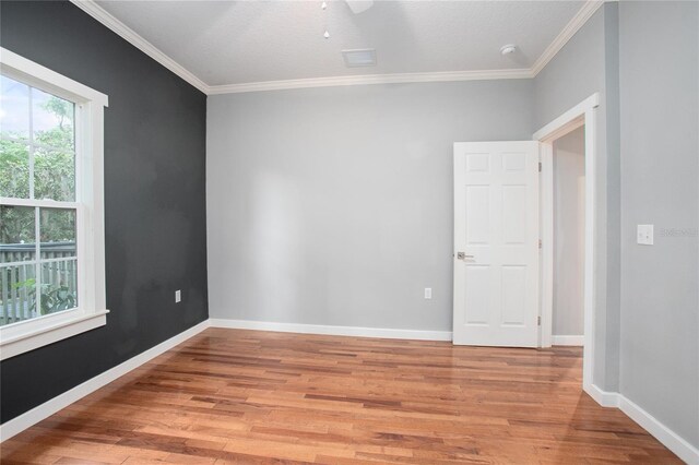 431 S Stone St, Deland, FL 32720 - photo 21