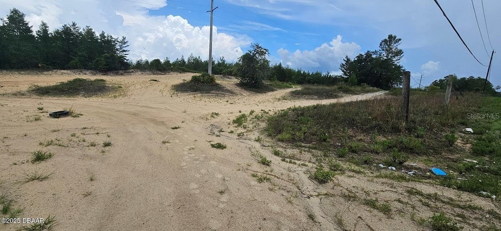 220 Ridge Rd, Satsuma, FL 32189 - photo 1