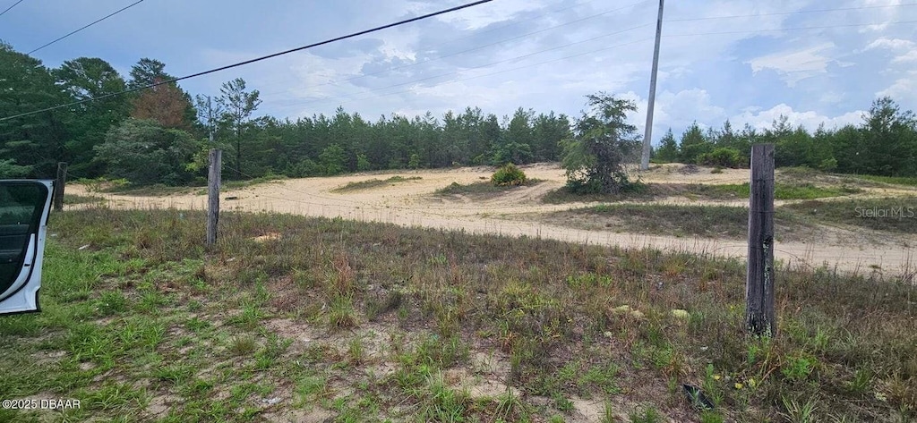 220 Ridge Rd, Satsuma, FL 32189 - photo 2