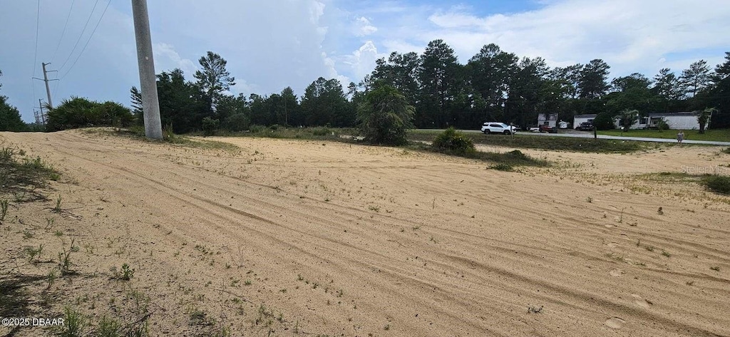 220 Ridge Rd, Satsuma, FL 32189 - photo 3