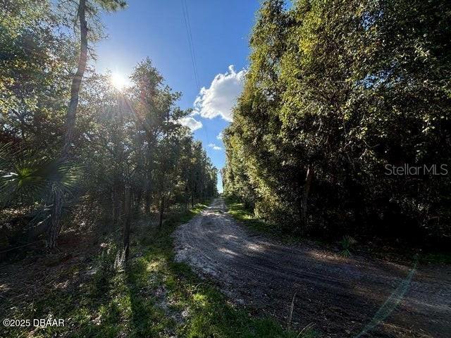 17531 NE 139th Ave, Fort Mc Coy, FL 32134 - photo 12