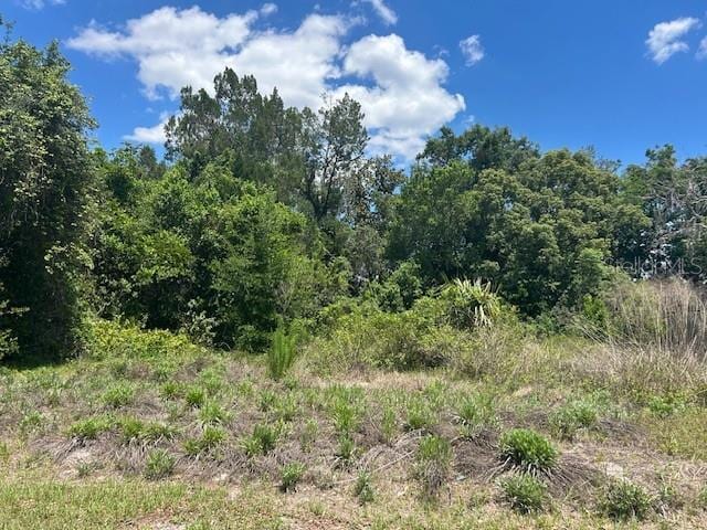 Marta Rd, Debary, FL 32713 - photo 2