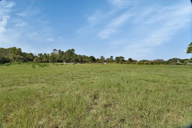 396 Uranus Trl, Osteen, FL 32764 - photo 4