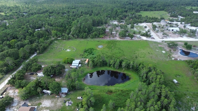 396 Uranus Trl, Osteen, FL 32764 - photo 6