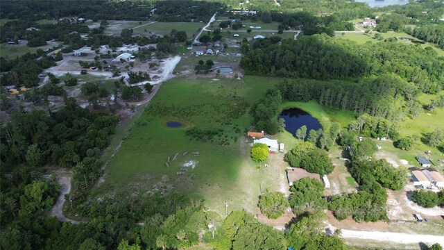 396 Uranus Trl, Osteen, FL 32764 - photo 10