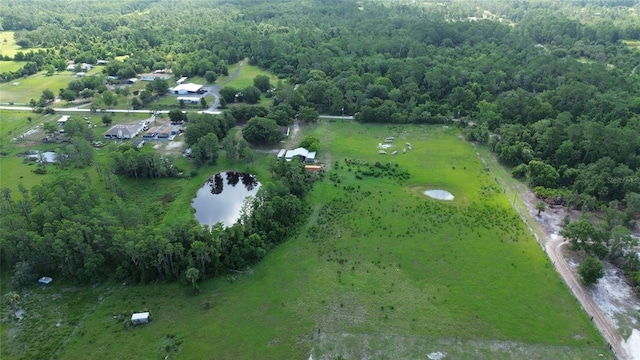 396 Uranus Trl, Osteen, FL 32764 - photo 44