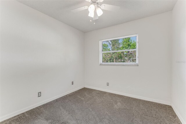916 Kathy St, Daytona Beach, FL 32114 - photo 7