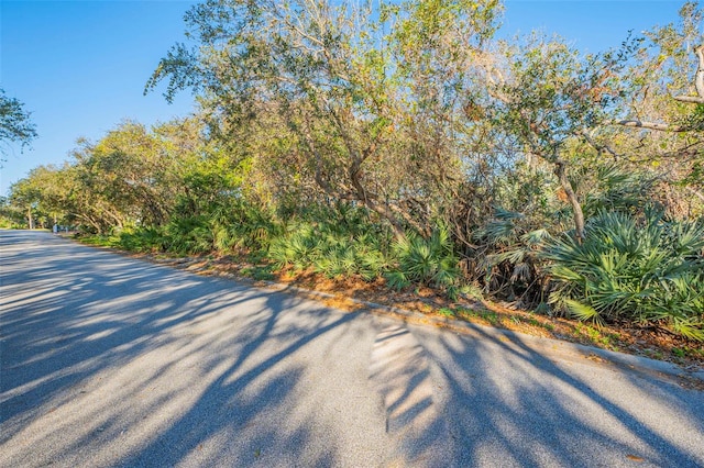 54 S Turn Cir, Ponce Inlet, FL 32127