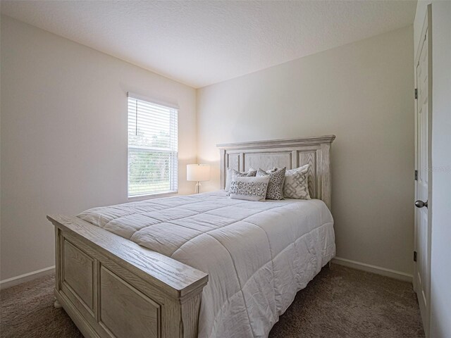 1915 Ganyard Ave SW, Palm Bay, FL 32908 - carpeted bedroom with baseboards