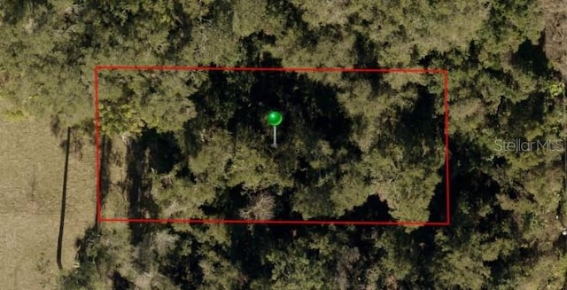 2nd St, Deland, FL 32720 - photo 19