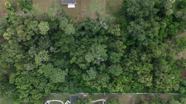 2nd St, Deland, FL 32720 - photo 2