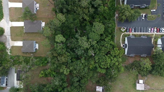 2nd St, Deland, FL 32720 - photo 3