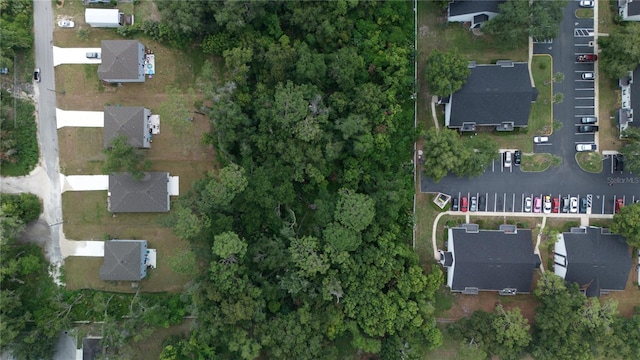 2nd St, Deland, FL 32720 - photo 4