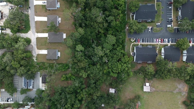 2nd St, Deland, FL 32720 - photo 8