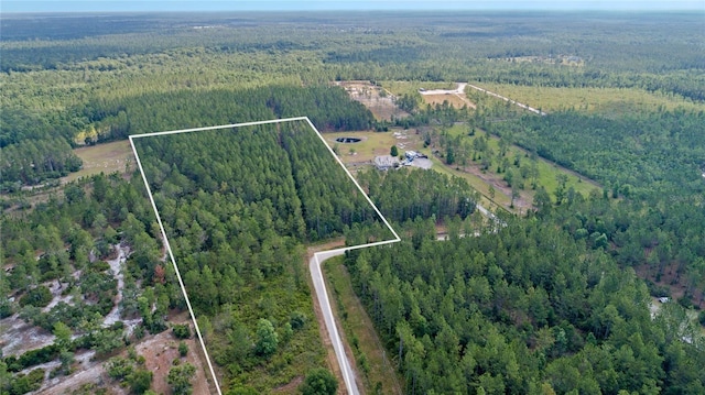 Wild Cur Rd, Pierson, FL 32180