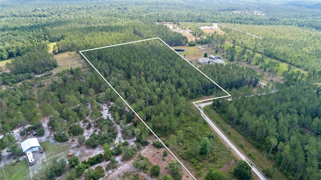 Wild Cur Rd, Pierson, FL 32180