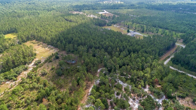 Wild Cur Rd, Pierson, FL 32180