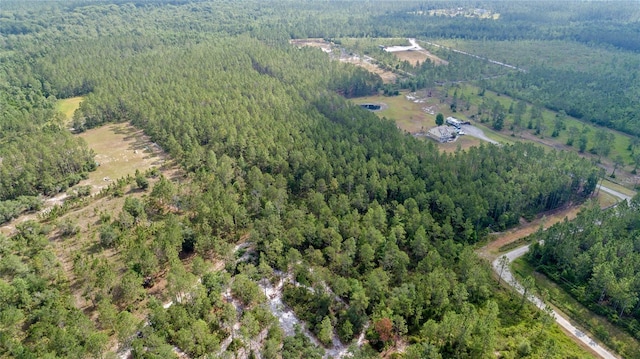 Wild Cur Rd, Pierson, FL 32180