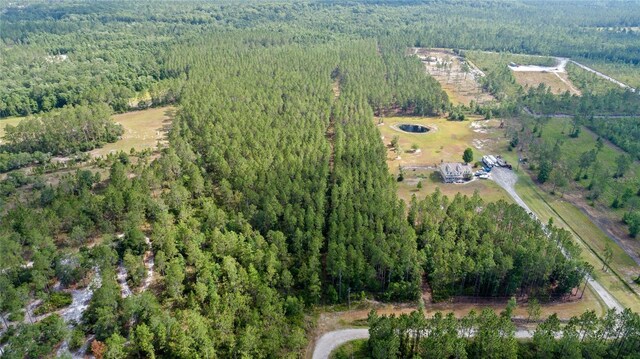 Wild Cur Rd, Pierson, FL 32180