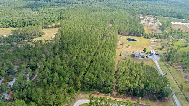 Wild Cur Rd, Pierson, FL 32180