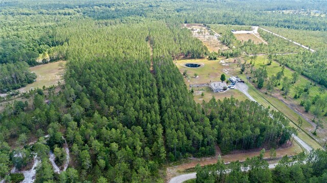 Wild Cur Rd, Pierson, FL 32180