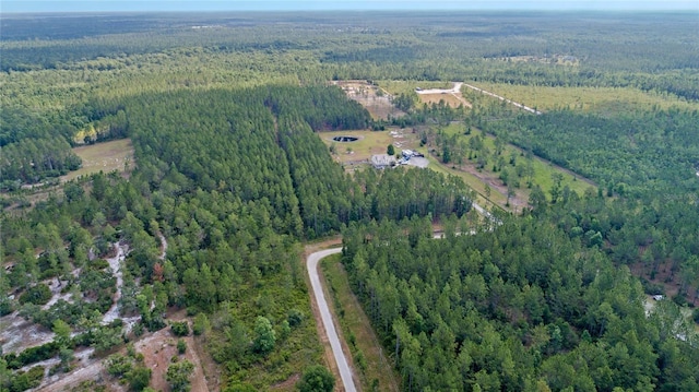 Wild Cur Rd, Pierson, FL 32180