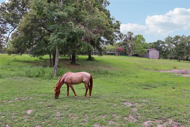 1555 Mercers Fernery Rd, Deland, FL 32720 - photo 83