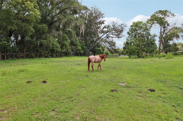 1555 Mercers Fernery Rd, Deland, FL 32720 - photo 87