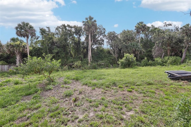 5759 Dogwood Rd, Port Orange, FL 32127 - view of yard