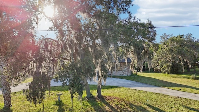 5759 Dogwood Rd, Port Orange, FL 32127 - view of property hidden behind natural elements featuring a front lawn and driveway