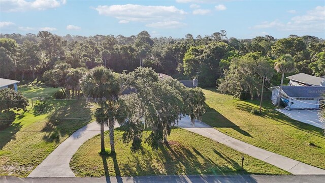 5759 Dogwood Rd, Port Orange, FL 32127 - drone / aerial view