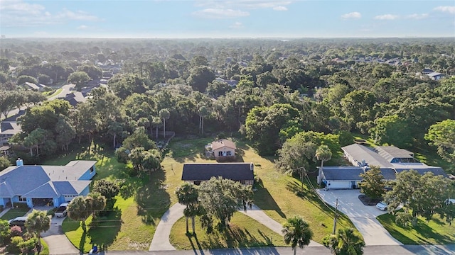 5759 Dogwood Rd, Port Orange, FL 32127 - aerial view of a forest