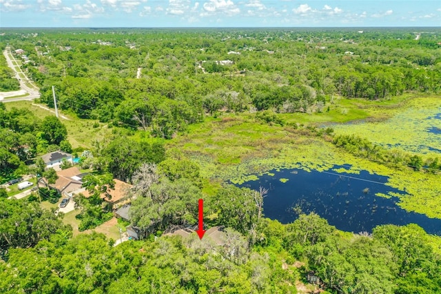 2163 Fireside Rd, Deltona, FL 32738 - photo 29