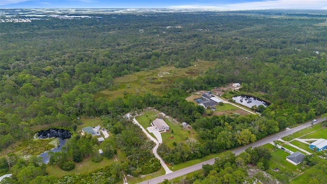 875 Volco Rd, Edgewater, FL 32141 - photo 53