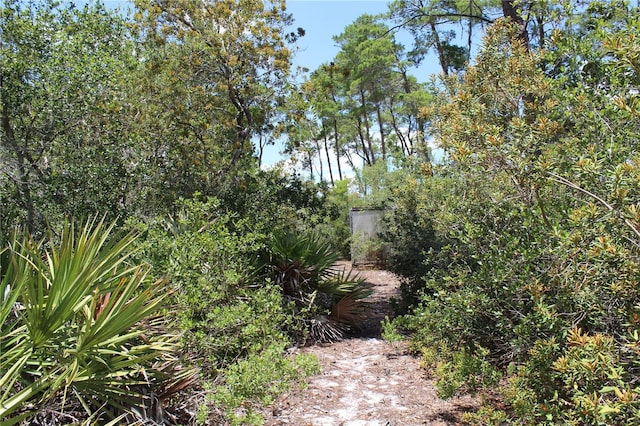 Anderson St, Deltona, FL 32725 - photo 4